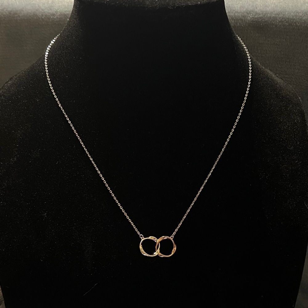 Elegant Silver and Rose Gold Interlocking Circles Necklace